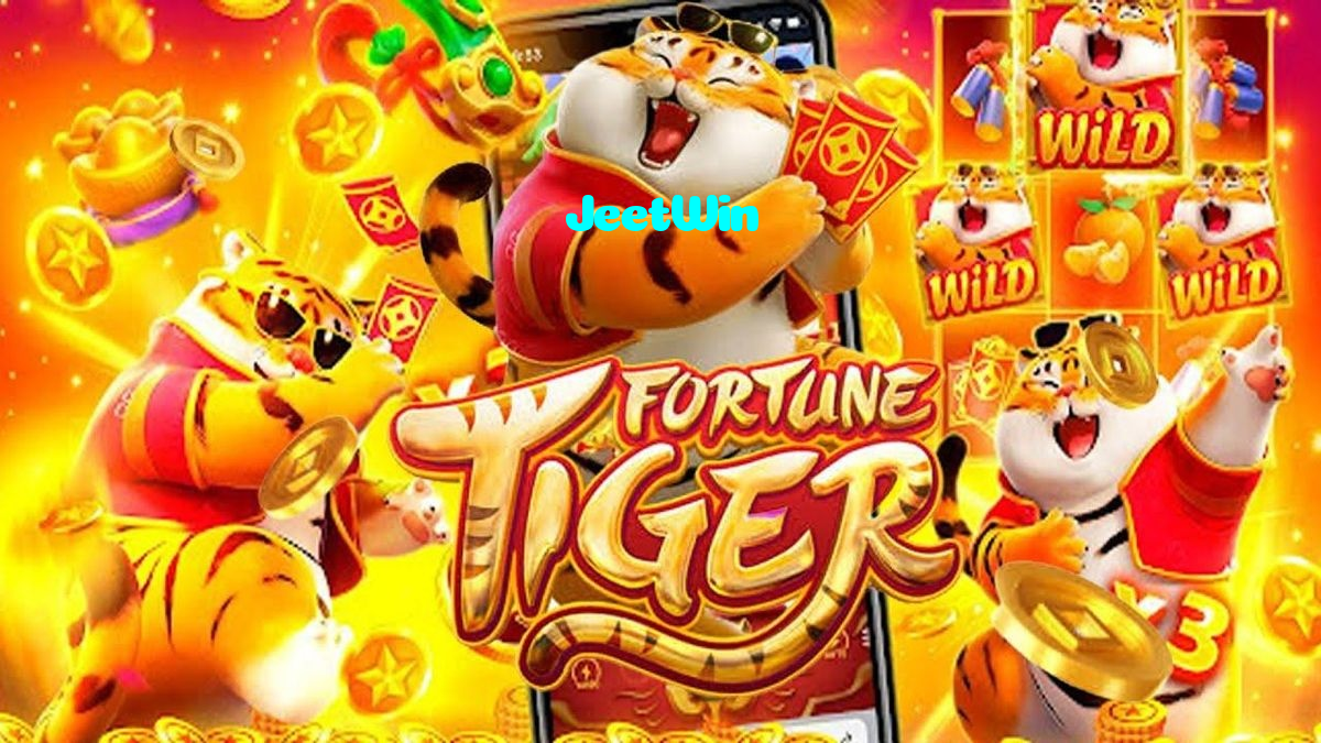 available types of JeetWin bet including pre-match live express and system bets